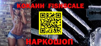 дмт Гай