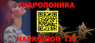 молекула духа Гагарин