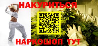 дмт Гай